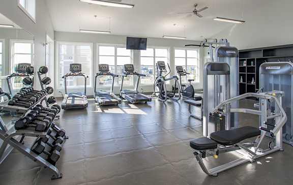 A spacious gym with a variety of equipment including treadmills, weights, and a television.