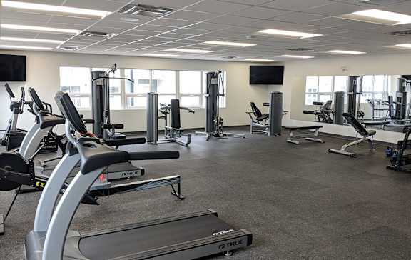 A gym with treadmills, weights, and exercise equipment.