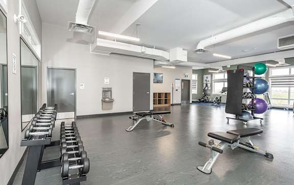 A gym with a variety of equipment including a bench, weights, and a balance ball.
