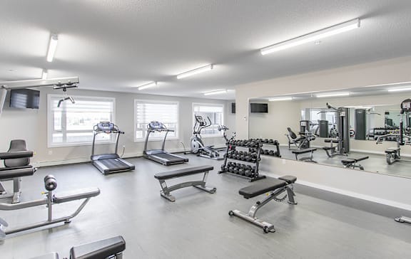 A spacious gym with a variety of equipment including treadmills, weight machines, and benches.