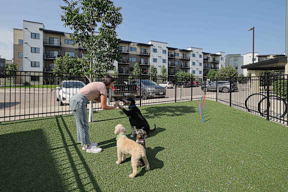 Dog park with artificial turf and play equipment at Mac and Mullen Apartments, Edmonton