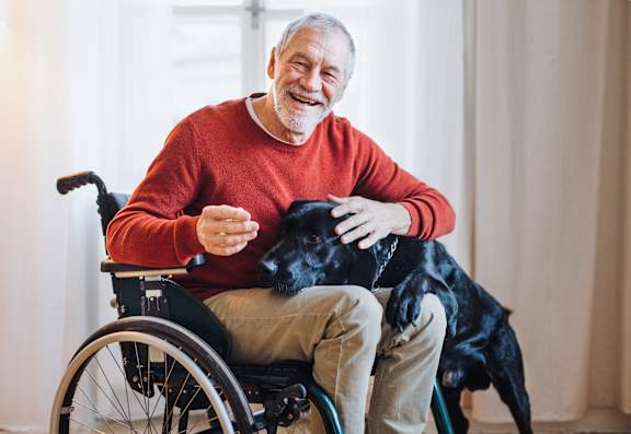 A man in a red sweater is sitting in a wheelchair with a black dog.