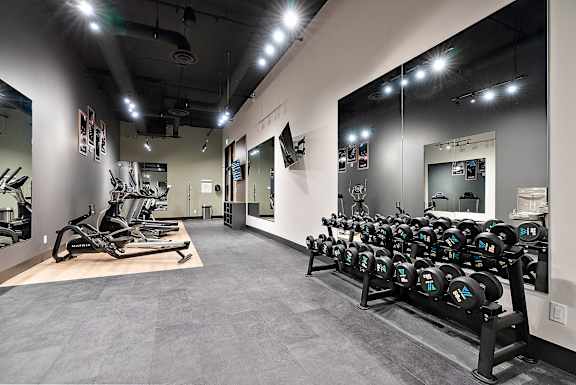 A gym with a row of dumbbells on the right and a row of treadmills on the left.at Raymond Block, Edmonton Alberta T6E 3R7