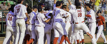 Baseball players in white jerseys and orange socks are celebrating on the field.
