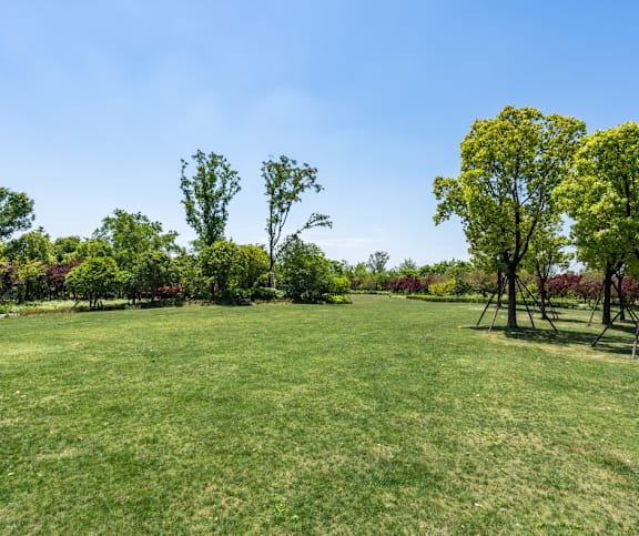 A grassy field with trees in the background.