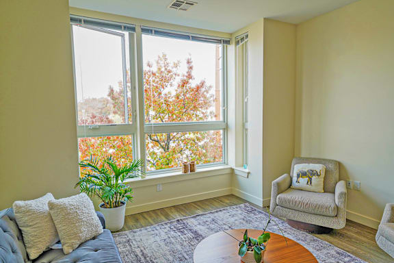 A living room with a grey couch, a white chair, and a potted plant.