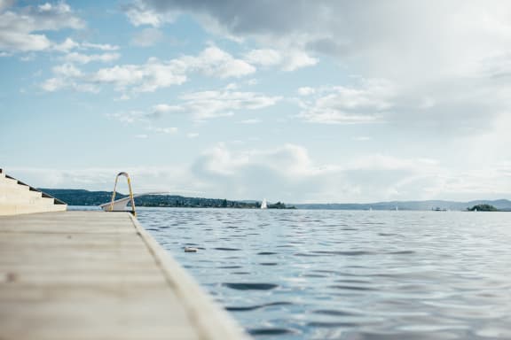 Infinity Pool