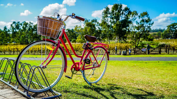 A cruiser bike with a basket has its wheel parked on a metal bike stand. There is a park behind it with a large lawn, walking trail, and trees.