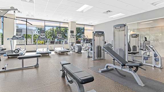Spacious and Modern Gym at 71 France, Minnesota, 55435