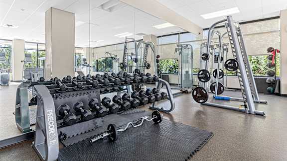 Gym with Rack of Dumbbells at 71 France, Minnesota