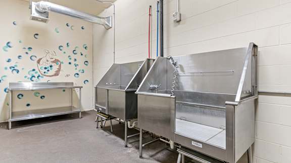 Pet Washing Station at 71 France, Edina, MN