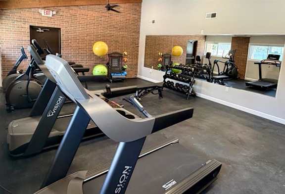 A gym with treadmills and exercise balls.