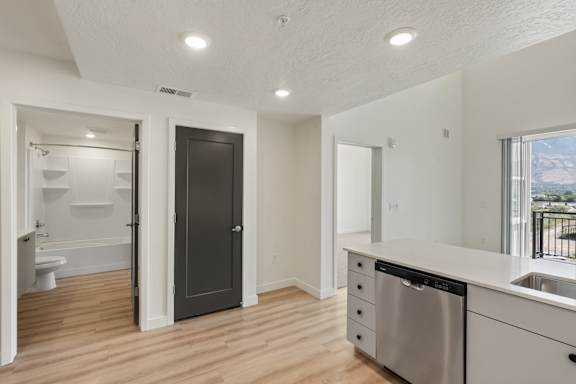 A modern kitchen with a stainless steel dishwasher and wooden flooring.