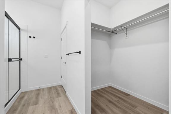 Spacious closet with empty shelves at Alante Homes at Spring Run, Idaho
