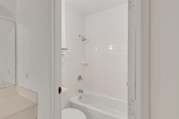 Bathtub1 at AVIA Apartments On Alpha, Texas, 75240