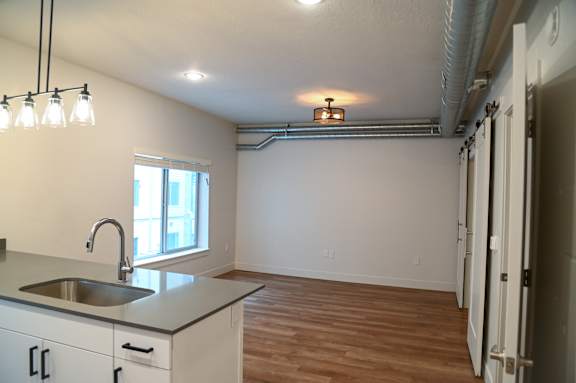 A kitchen with a sink and a window.