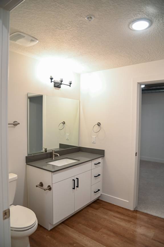 A bathroom with a sink, mirror, and toilet.