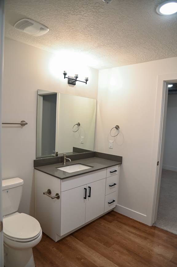 A bathroom with a toilet, sink, and mirror.