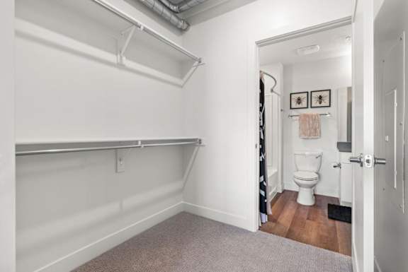 Walk-in closet with metal shelving and bathroom entrance at The Revival Apartments, Utah