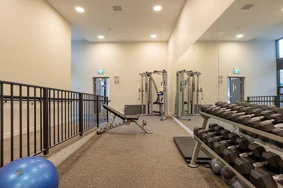 A gym with a blue ball, dumbbells, and weight machines.