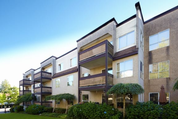 a photo of a row of apartment buildings with trees and bushes in front of them