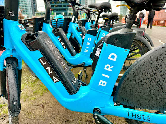 A blue bicycle with the word BIRD written on it.