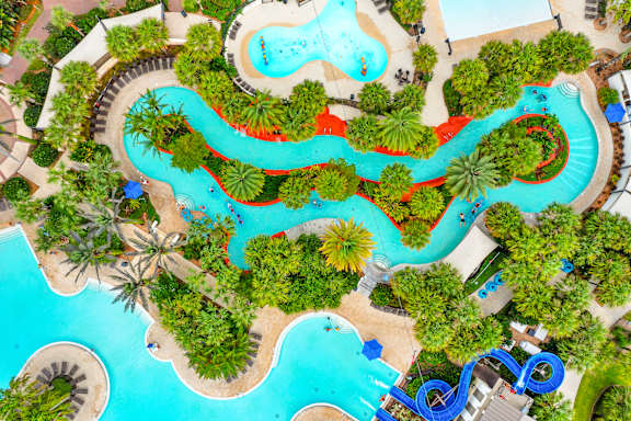 A large outdoor swimming pool surrounded by palm trees.