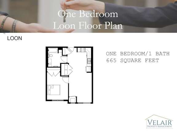 1 Bedroom- Loon