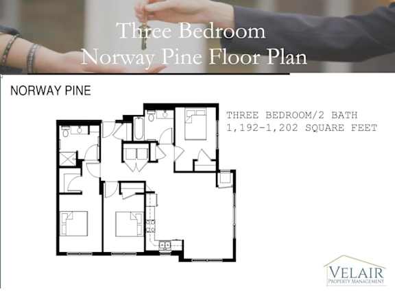 3 Bedroom- Norway Pine