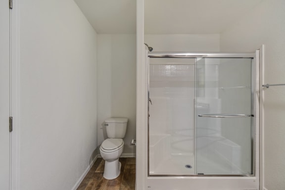 Primary Bathroom Walk in Shower