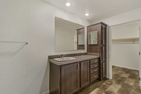 Primary Bath and Closet