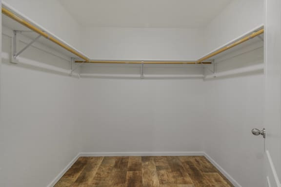 Primary Bedroom walk-in closet