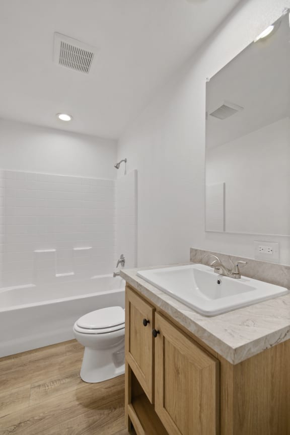 a bathroom with a sink and a toilet and a shower