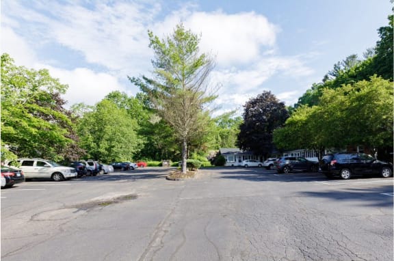 Taymil Holly House Surface Parking
