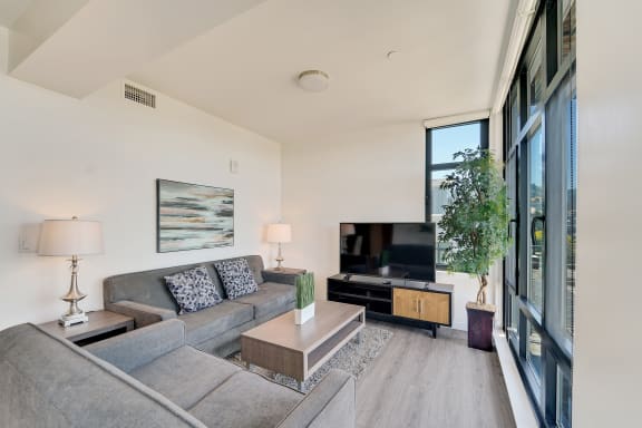 a living room with a gray couch and a tv