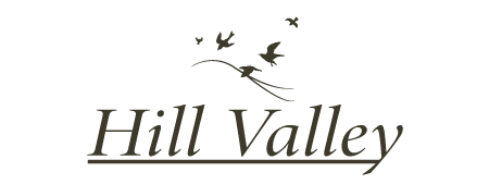 The image features the text "Hill Valley" in a serif font, with a graphic of two birds in flight to the left of the text.
