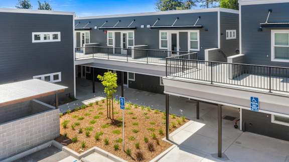 A small tree is planted in a courtyard between two buildings.