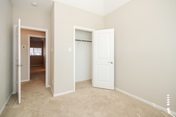 Spacious Bedroom with Walk-In Closet