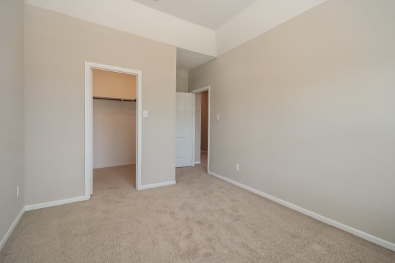 Spacious Bedroom with Walk-In Closet
