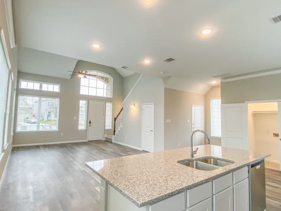 Kitchen With Inbuilt Wash Basin at Lakeside Conroe, Montgomery, TX, 77356