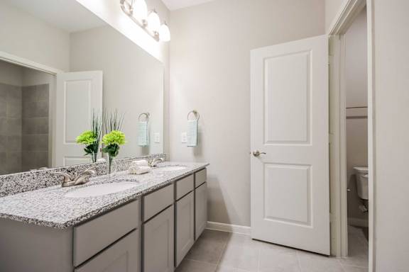 A bathroom with a counter and a mirror.