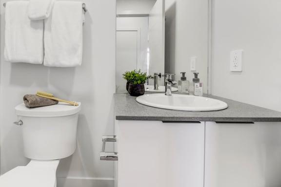 49th Battalion Edmonton apartment bathroom