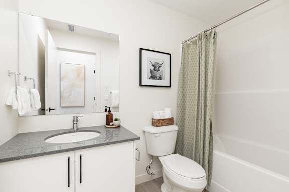 Arbutus Lethbridge 1 Bed Typical Bathroom