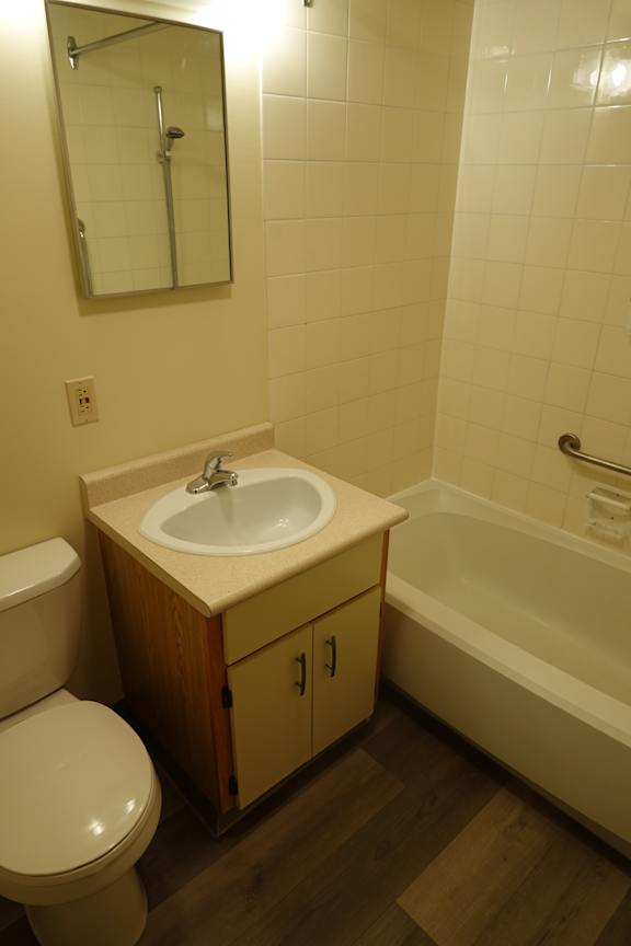 A bathroom with a sink and toilet.