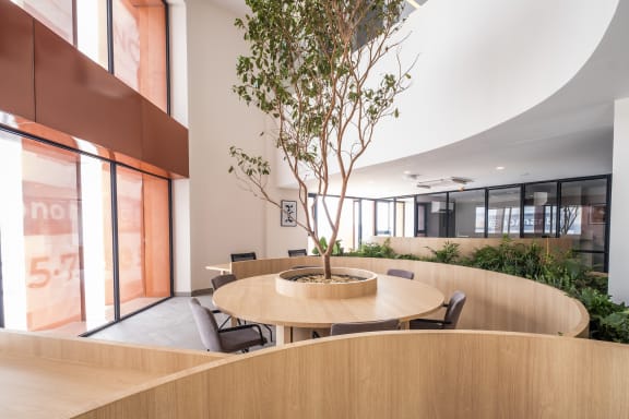 a tree in the center of a room with tables and chairs