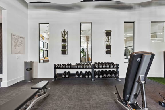 the gym has plenty of equipment and mirrors