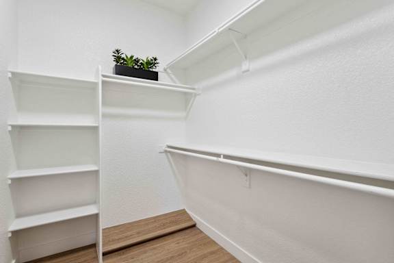 A small room with a white wall and a shelf with a plant on it.