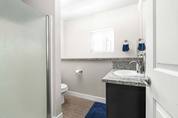 Downstairs bathroom with a sink, toilet, and mirror above a single basin sink in a granite vanity. Small window between the toilet and the vanity. Frosted shower doors.