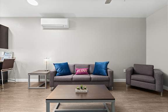 Living area from entry. Gray couch, oversized gray chair, coffee and end table with a lamp. Ceiling fan and mini-split air conditioning unit in living space.