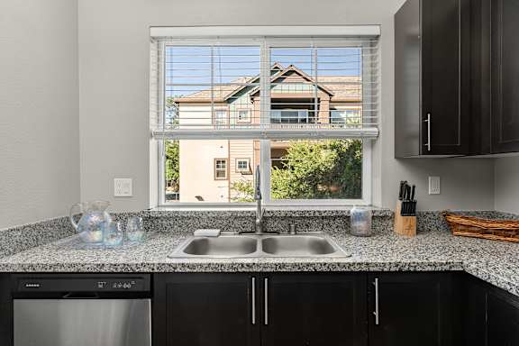 Back kitchen wall with double window over double basin sink. Goose neck faucet. Stainless steel dishwasher, granite counter tops and espresso colored cabinets with brushed nickel handles.